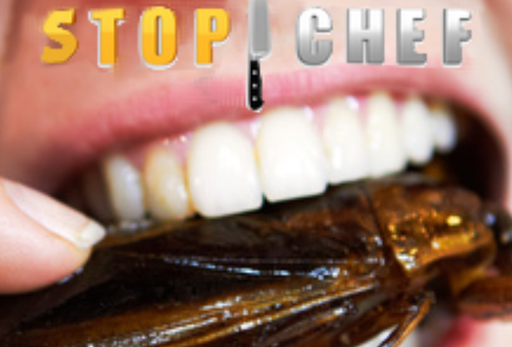 Stop chef : Insectes
