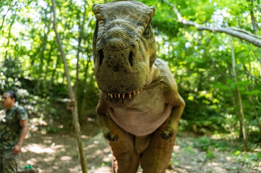 Attention au raptor